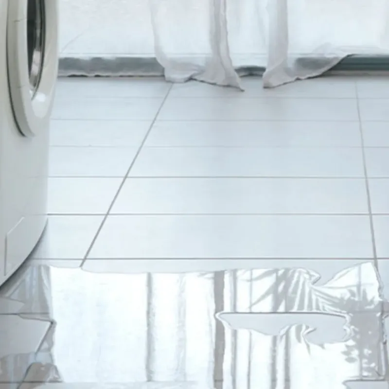 Appliance Leak Cleanup in Newark, TX