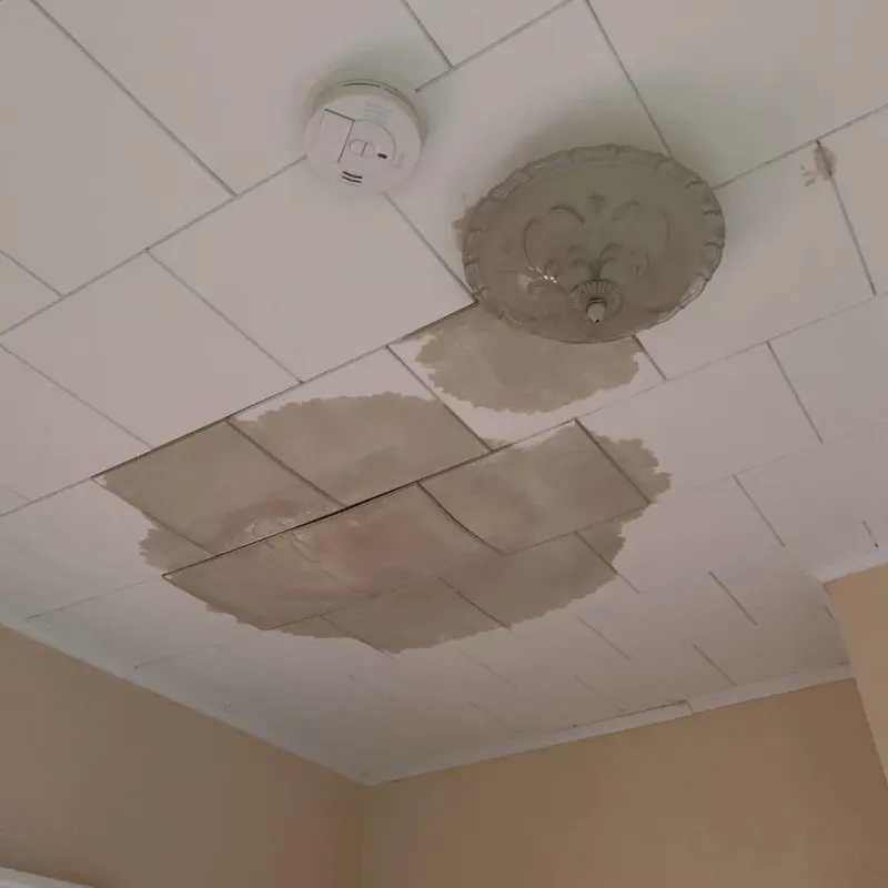 Ceiling Water Damage Repair in Newark, TX