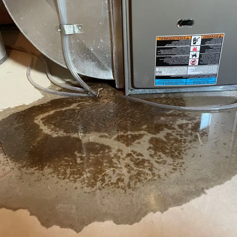 Pipe Burst and Leak Restoration in Newark, TX