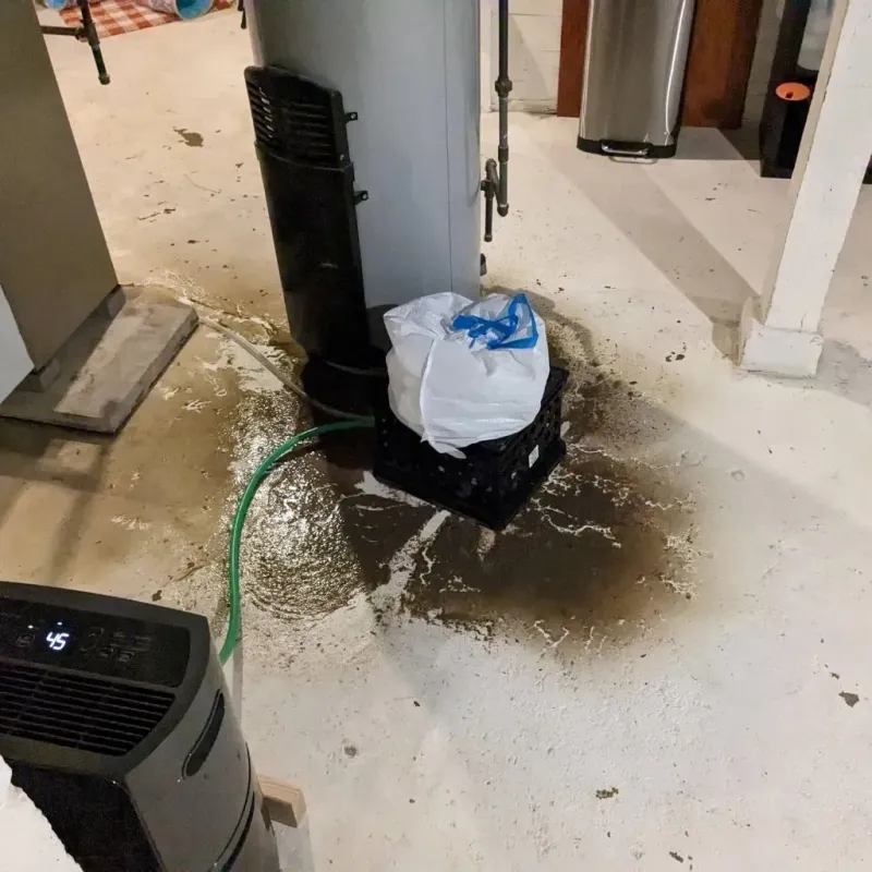 Sewage Backup Cleanup Service in Newark, TX